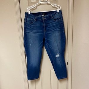 Lane Bryant Distressed Capri Jeans